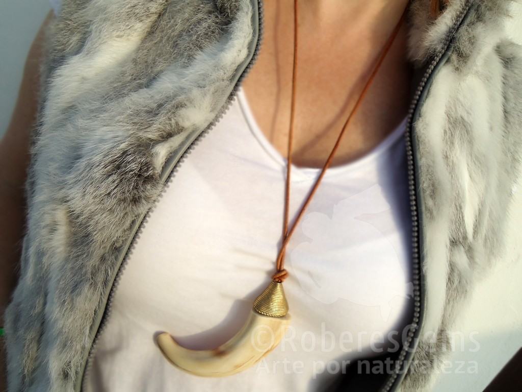 Collar con colmillo natural de facocero. Collar Serengueti.
