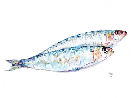 Xoubas ¡Vaya par de sardinas! | Impresión