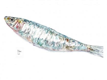Xouba ¡Vaya sardina! | Impresión