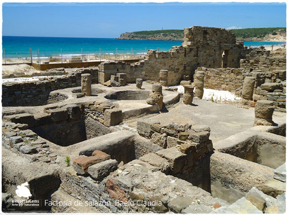 Baelo Claudia. Tarifa.