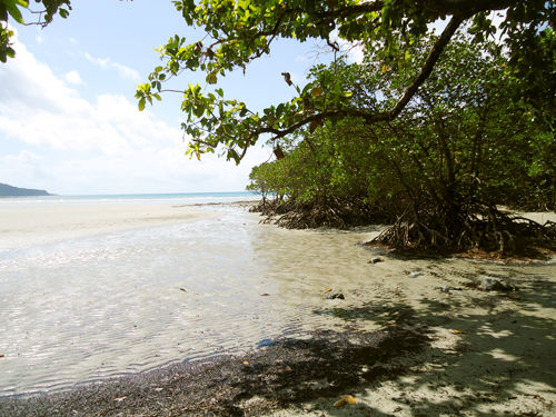 Playa Cabo Tribulación.