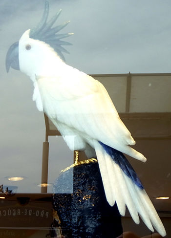 Cacatúa. Gemas naturales.